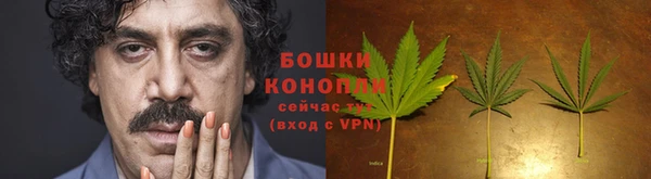 Альфа ПВП Беломорск