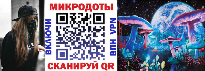 Псилоцибиновые грибы MAGIC MUSHROOMS  кракен рабочий сайт  Котельниково  наркотики 